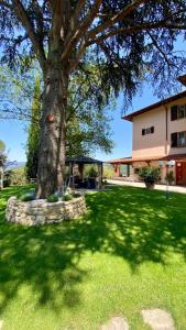 Ein Baum mitten auf einem Rasenplatz in der Unterkunft Charming Guest Room in Villa Casavecchia with City, Garden, and Mountain Views in Dicomano