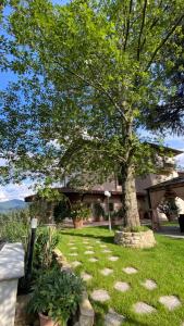 Κήπος έξω από το Charming Guest Room in Villa Casavecchia with Mountain Views