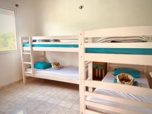 two bunk beds in a room with two dogs at Ti Swell Caribbean House in Port-Louis