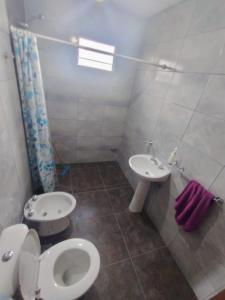 a bathroom with a toilet and a sink at Apart Cuyo in San Rafael