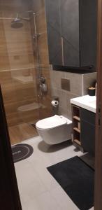 Ένα μπάνιο στο Tara Panorama - Vila Bor Lux Apartment