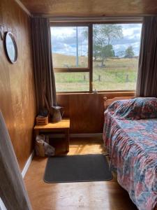 ein Schlafzimmer mit einem Bett, einem Fenster und einem Teppich in der Unterkunft Waitomo Farmstay - Morepork Cabin 7 in Waitomo Caves
