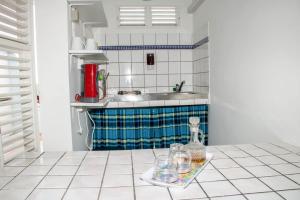 Kuchyň nebo kuchyňský kout v ubytování Villa bougainvillier