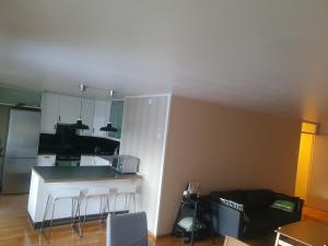 Η κουζίνα ή μικρή κουζίνα στο Trosterud i Oslo