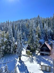 Snowfall Luxury Suites Jahorina v zimě