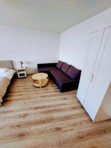 ein Zimmer mit einem Bett, einer Couch und einem Tisch in der Unterkunft Drzewna Apartamenty-Wojska Polskiego in Zielona Góra