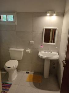 een badkamer met toilet en wastafel bij Playa Hostel in Santa Rosa de Calamuchita +20 foto's