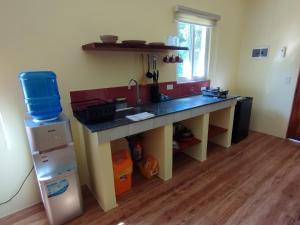 Η κουζίνα ή μικρή κουζίνα στο Dom's Oase +38 φωτογραφίες