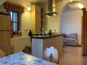 a kitchen and living room with a sink and a counter at Fanningberg in Mariapfarr