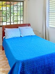 Postel nebo postele na pokoji v ubytování Villa Boquete