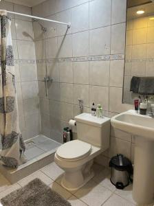 a bathroom with a toilet and a shower and a sink at Casa de Max in Valparaíso