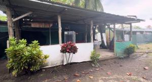 un pequeño edificio con plantas delante en Camping y hospedaje playa azul, en Tarcoles