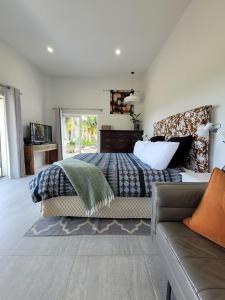 Χώρος καθιστικού στο Kerikeri Studio