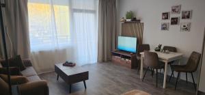 TV a/nebo společenská místnost v ubytování Apartment am Rhein + 7 fotografií
