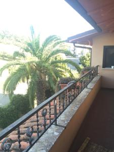 a balcony with a view of a palm tree at La Casa di Walter in Palata