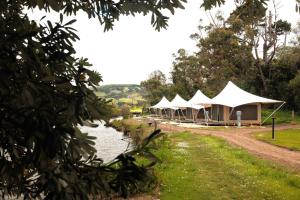 a row of tents next to a river at Apollo Bay Recreation Reserve in Apollo Bay