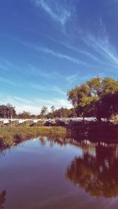 Příroda nedaleko farmy