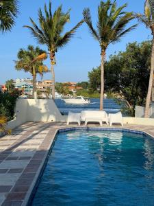 a swimming pool with two chairs and palm trees at Aqualife Best view apartment in Willemstad