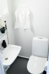 a white bathroom with a toilet and a sink at 3-Room Central Railway station in Oulu +14 photos