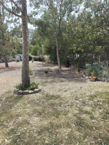 Zahrada ubytování Hospedaje ES ACA