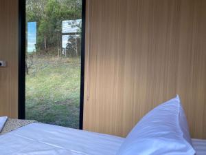une chambre avec un lit et une grande fenêtre dans l'établissement Wombat Hideaway by Tiny Away, à Laguna