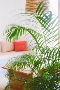 Et opholdsområde på Athmaya Villa, Ahangama