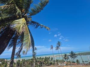 a group of palm trees on the beach at Barra do Cunhaú - Barra Mar in Canguaretama