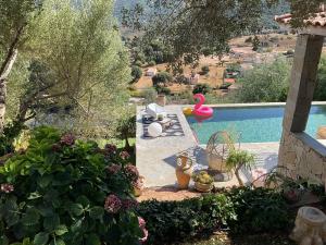 Bazén v ubytování Residence Paradisu Ajaccio nebo v jeho okolí + 102 fotografií