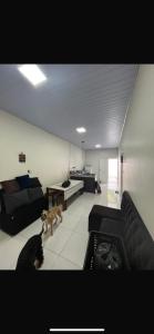 eine Katze, die in einem Wohnzimmer mit einem Sofa läuft in der Unterkunft Salinopolis beach house in Salinópolis