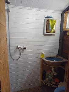 Ένα μπάνιο στο Eco Cabaña Mayjora Refugio natural en el campo, entre el océano Atlántico y la laguna Garzon +26 φωτογραφίες