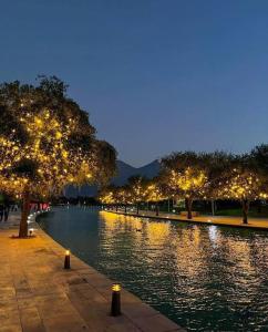 Un río con árboles iluminados por la noche en Lartbook, en Monterrey 17 fotos más