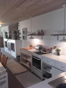 a kitchen with a stove and a counter top at Frederiksensminde Bed & Breakfast in Marrebæk