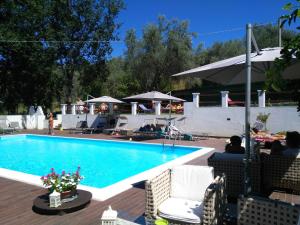 a swimming pool with chairs and umbrellas next to it at Agriturismo Malena in Rossano