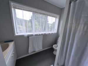 une salle de bain avec un lavabo et des toilettes et une fenêtre dans l'établissement King of the Hill, à Amodeo Bay 12 autres photos