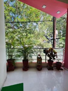 Un balcón con plantas en macetas y una gran ventana. en mahakaleshwar homestay, en Ujjain