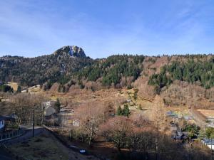 - une vue sur une montagne arborée et une ville dans l'établissement Duplex F2 au Mont-Dore avec Garage Privé - FR-1-415-167, à Mont-Dore