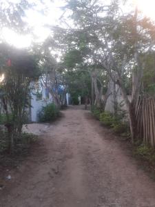 a dirt road with trees on the side of a house at Faith Under Fire Villa in Migogoni +6 photos