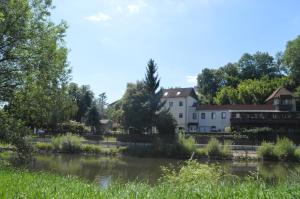 a building next to a river with trees and grass at Pension Gasthaus zum Pegel in Naumburg