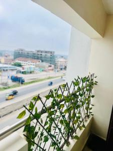 a plant on a window sill with a view of a street at Stylish 1 Bedroom Apartment in Kitengela  +3 photos