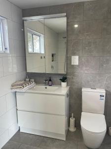 une salle de bain avec un lavabo, des toilettes et un miroir dans l'établissement Clonburn Manor at Sovereign Hill, à Ballarat 36 autres photos