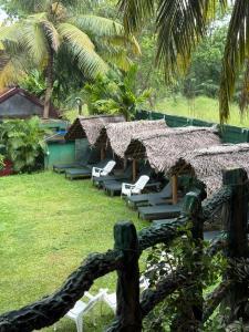 a group of chairs and umbrellas in a yard at The Nature Park Villa in Sigiriya