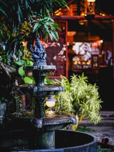 Сад в Sunrise Udawalawe Resort