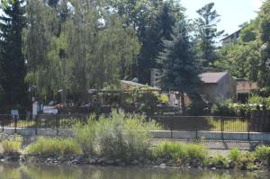 a garden with a fence and a pond at Pension Gasthaus zum Pegel in Naumburg