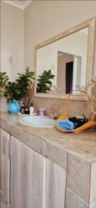eine Badezimmerablage mit Waschbecken und Spiegel in der Unterkunft The Cozy 1 bedroom apartment in Roodepoort