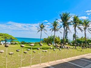 Příroda nedaleko bed and breakfast