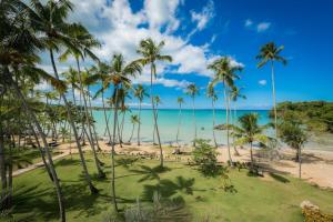 a view of a beach with palm trees and the ocean at Playa Bonita Modern Beachfront Penthouse Retreat in La Ceiba +40 photos