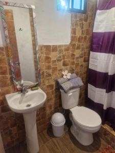 a bathroom with a toilet and a sink at Cabaña Pakarati in Hanga Roa