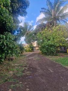 a dirt road with palm trees and a building at Cabaña Pakarati in Hanga Roa
