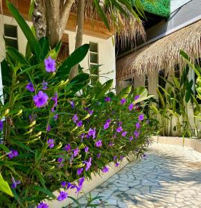 Zahrada ubytování Villa Vela 2 BR - Vela 3 with Private Pool & Rooftop