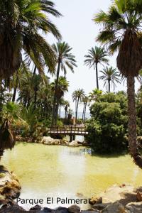a pool of water with palm trees and a bridge at Alicante Apartments in Alicante